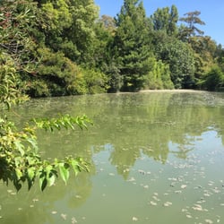 La Buvette du Lac