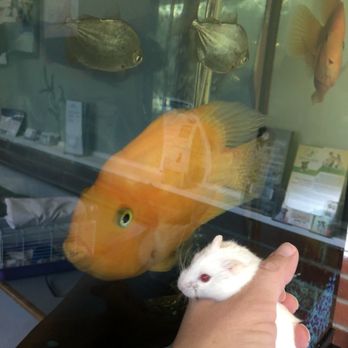 All Creatures Veterinary Care Center - our Mishka (dwarf ham) got great care!!! - Veterinarians Near Me - Sewell, New Jersey