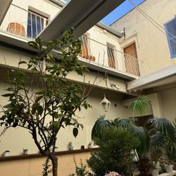 Alchemy - Cute back patio area