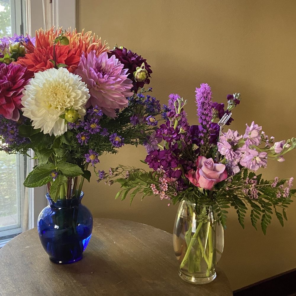 Flowers Clarkston Washington Best Flower Site