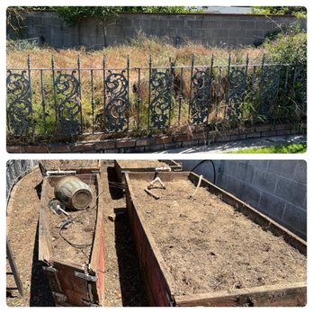 Erick's Tree Service - Removed all these weeds out of these planters, it was a jungle of weeds that I could not pull out. - Tree Services Near Me - Clovis, California Erick's Tree Service - Removed all these weeds out of these planters, it was a jungle of weeds that I could not pull out. - Tree Services Near Me - Clovis, California