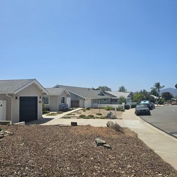 Santos Pena Tree Care and Services - Juniper after - Tree Services Near Me