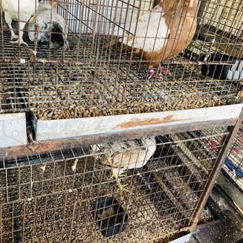Quality Feed & Garden - Nurseries & Gardening Near Me - Houston, Texas Quality Feed & Garden - Nurseries & Gardening Near Me - Houston, Texas
