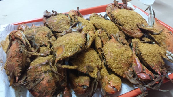 Belly Busters by null