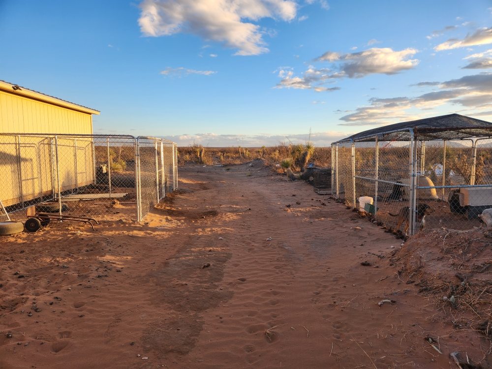 WINGS RANCH RESCUE - Updated May 2026 - Request Information - Sierra ...
