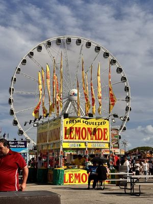 Miami-Dade County Fair & Exposition, Inc. by null