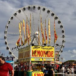 Miami-Dade County Fair & Exposition - Ferris wheel