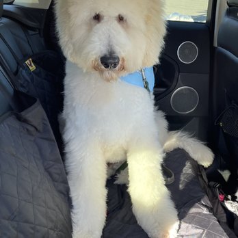 Lovely Pet Salon - Lovely Pets... - Pet Groomers Near Me - Chantilly, Virginia Lovely Pet Salon - Lovely Pets... - Pet Groomers Near Me - Chantilly, Virginia