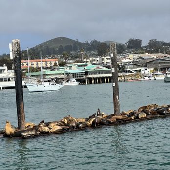 Lost Isle Adventures - Boat Tours Near Me - Morro Bay, California