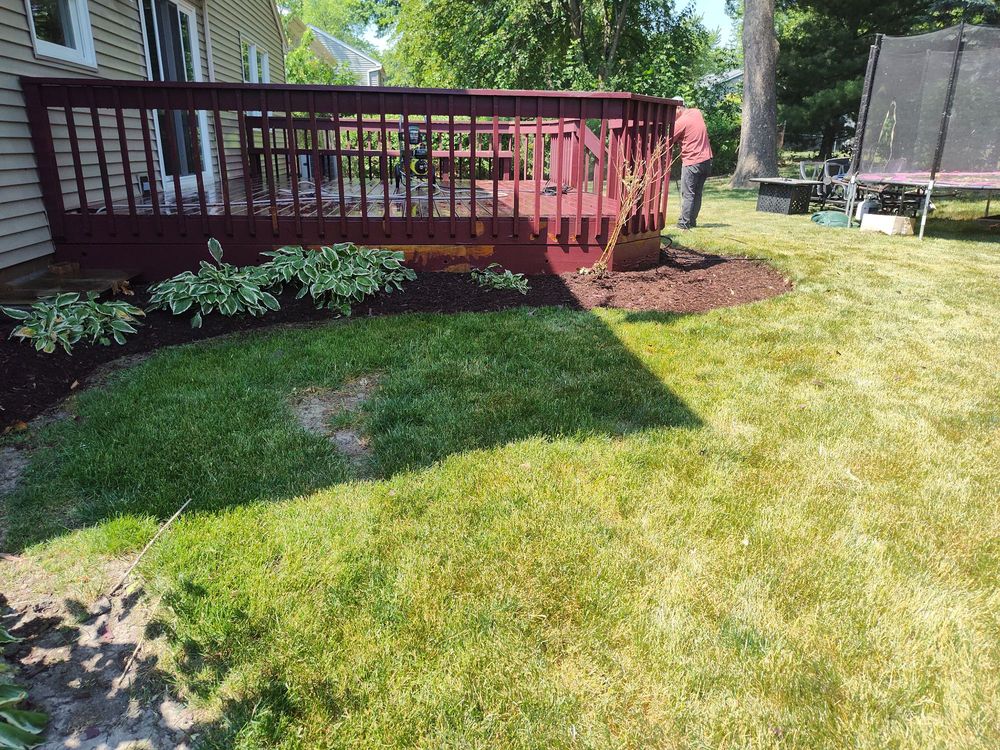 Slide of Lopez Improvement