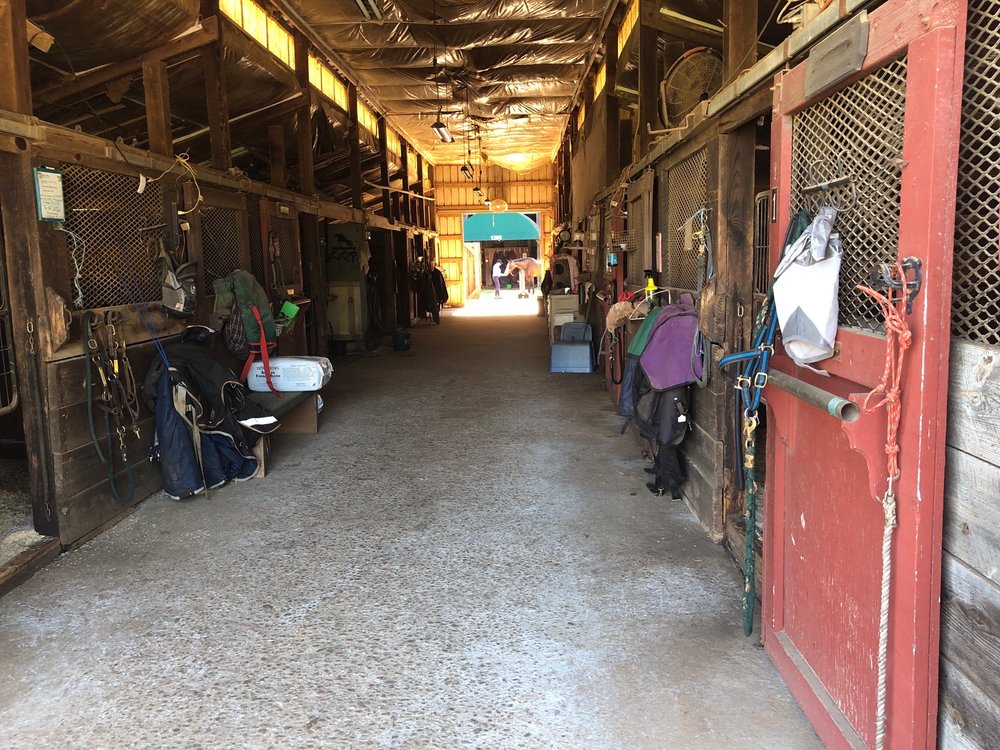 Seven Gables Farm - equestrian in Alpharetta, GA