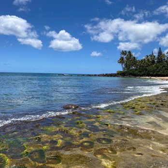 Laniakea Beach - Beaches Near Me - Haleiwa, Hawaii Laniakea Beach - Beaches Near Me - Haleiwa, Hawaii