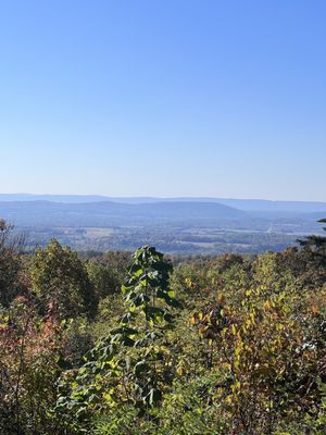 Sugarloaf Mountain by null