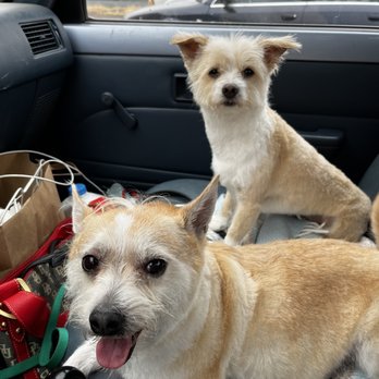 Shed Happens - Chloe and Carl - Pet Groomers Near Me - Madras, Oregon Shed Happens - Chloe and Carl - Pet Groomers Near Me - Madras, Oregon
