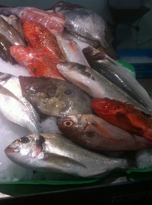 The Palamós Fish Market by null