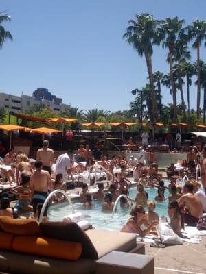 Bare Pool Lounge by null