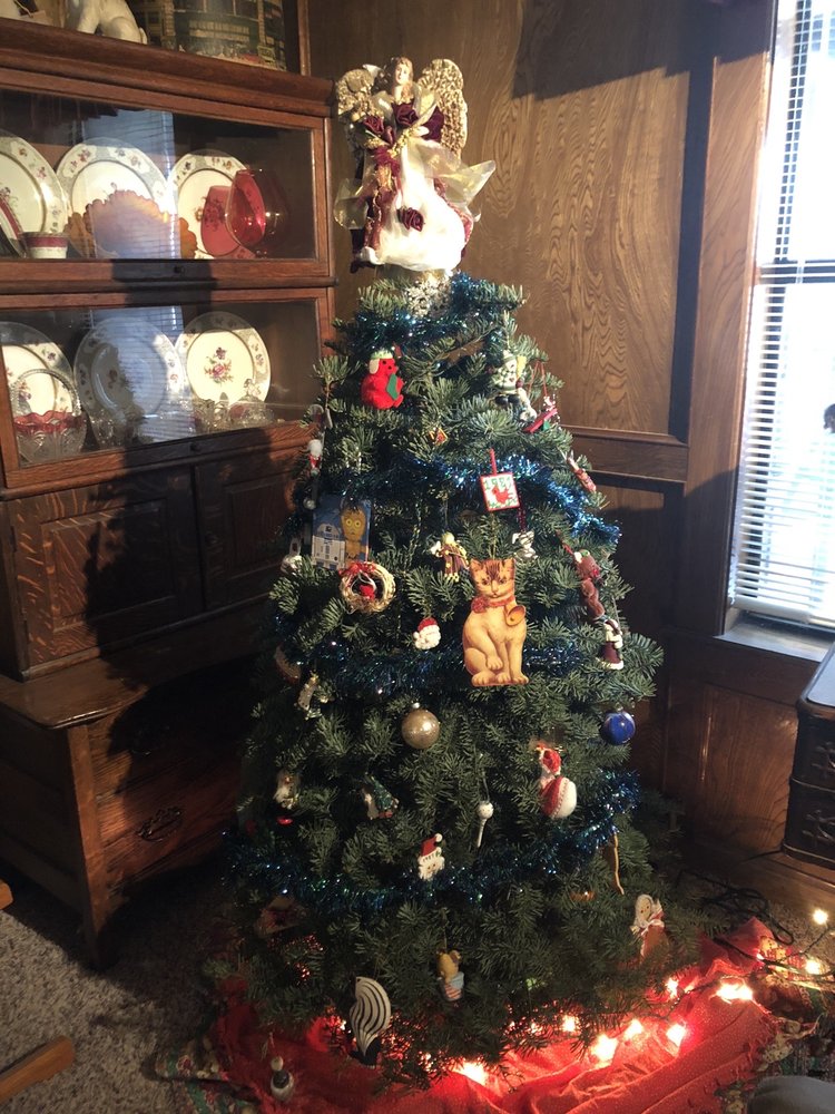 OWASSO CHRISTMAS TREE AND BERRY FARM 10 Photos 11039 N 129th E Ave