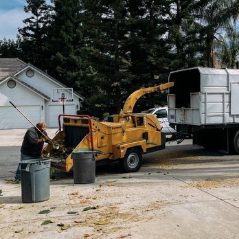 George's Tree Service - Tree Services Near Me - Fresno, California George's Tree Service - Tree Services Near Me - Fresno, California