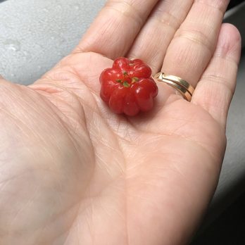 Waipio Valley Shuttle - Cherry something fruit picked from the trees. - Tours Near Me - Honokaa, Hawaii