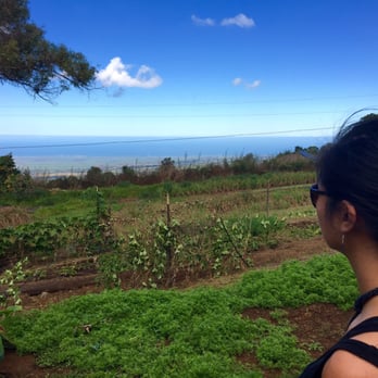 O'o Farms - We could work on this farm all day - Food Tours Near Me - Kula, Hawaii O'o Farms - We could work on this farm all day - Food Tours Near Me - Kula, Hawaii