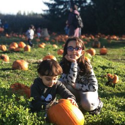 Dream Nannies and Caregivers