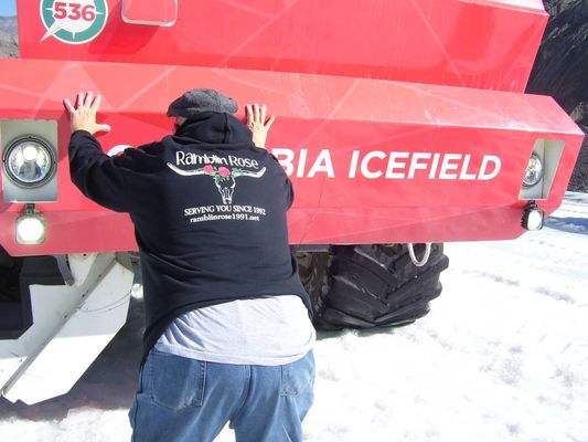 Ramblin Rose by null