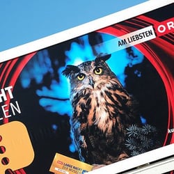 Lange Nacht der Museen - Cha gia José