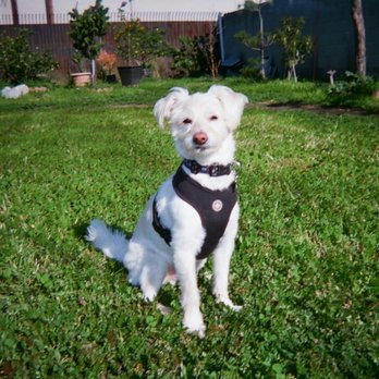 Photo World - Photos developed - Photography Stores & Services Near Me - Torrance, California Photo World - Photos developed - Photography Stores & Services Near Me - Torrance, California