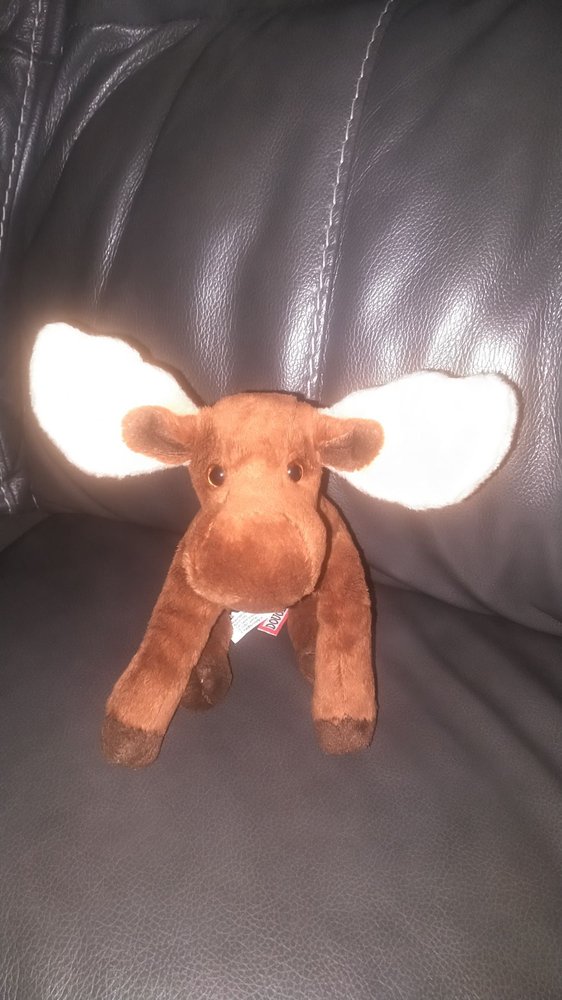 DOUGLAS COMPANY Updated October 2024 69 Krif Rd, Keene, New