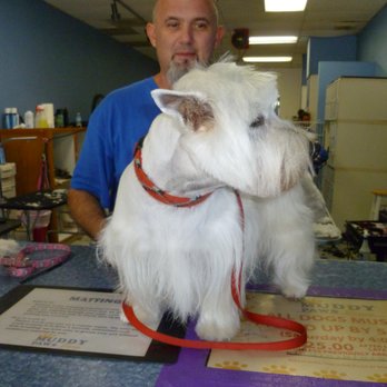 Muddy Paws - Misty Brooks loves Muddy Paws!!! - Pet Groomers Near Me - Carlsbad, California Muddy Paws - Misty Brooks loves Muddy Paws!!! - Pet Groomers Near Me - Carlsbad, California