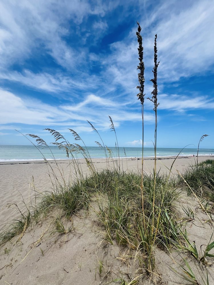 South Beach Park Image