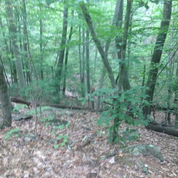 Mowry Conservation Area - Hiking Near Me - Smithfield, Rhode Island