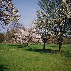 Pionierpark