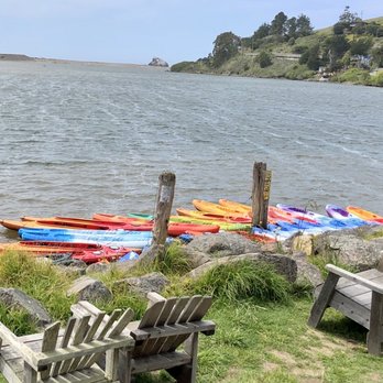 Cafe Aquatica - View from the deck - Coffee & Tea Near Me - Jenner, California
