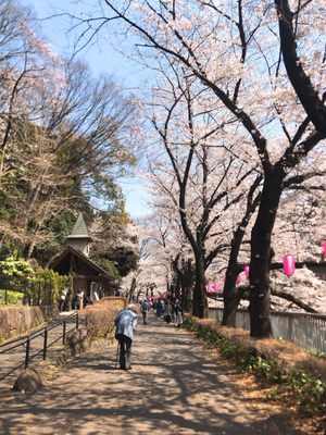 Edogawa Park Parks 関口2 1 江戸川橋駅 文京区 東京都 Japan Phone Number