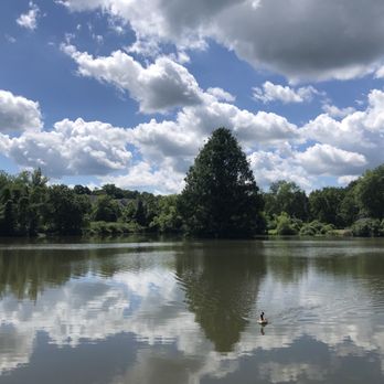 Demott Park - July 15, 2025 - Fishing Near Me Demott Park - July 15, 2025 - Fishing Near Me