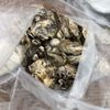 Oregon Oyster Farm gift card