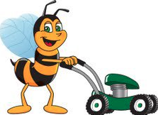 B&B Mowing Maintenance and More - tree service in Sandy, UT