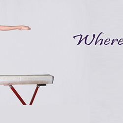 Central Pennsylvania Academy of Gymnastics