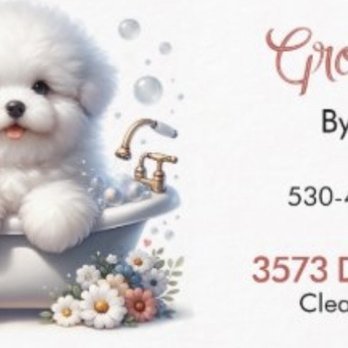 Grooming by Joan - Pet Groomers Near Me - Clearlake, California Grooming by Joan - Pet Groomers Near Me - Clearlake, California