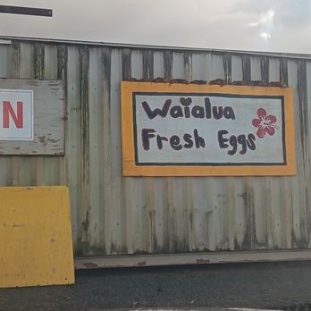 WAIALUA FRESH EGG FARM - Updated January 2026 - 61 Photos & 51 Reviews