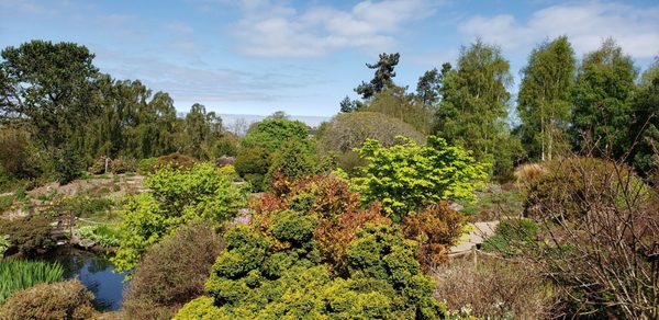 Royal Botanic Garden Edinburgh by null