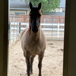 Sunset Equestrian Center - Paddock