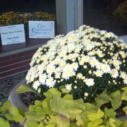 Stage Door Gallery - In front