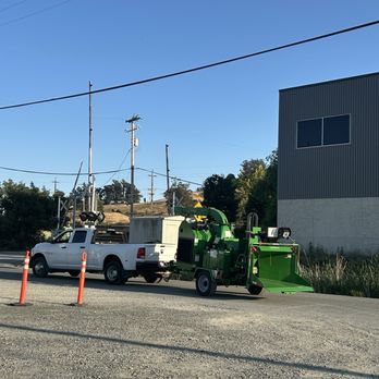 Treels - Tree Services Near Me - Santa Rosa, California