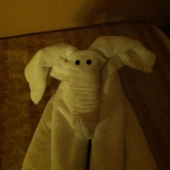 Carnival Victory - My Elephant! I love them too. - Boat Tours Near Me - Downtown Miami, Florida