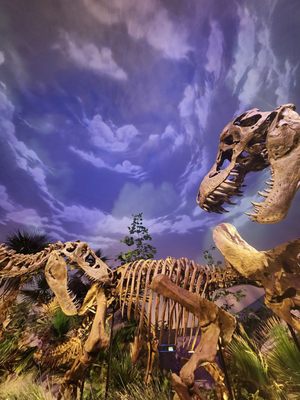 The Children's Museum of Indianapolis by null