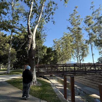 El Toro Park - El Toro Park - Shaded Walking Jogging Biking Path - Parks Near Me - Lake Forest, California El Toro Park - El Toro Park - Shaded Walking Jogging Biking Path - Parks Near Me - Lake Forest, California