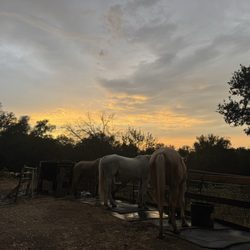 Maverick Horseback Riding - Before a trail ride!
