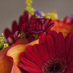 Honesdale Greenhouse Flower Shop